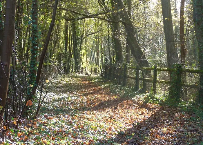 Du Chateau Des Chainees * Chevregny